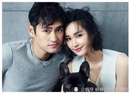 娱乐圈吃瓜大秘籍