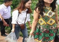 大理网红母女吃瓜事件,一场网络舆论的发酵与反思